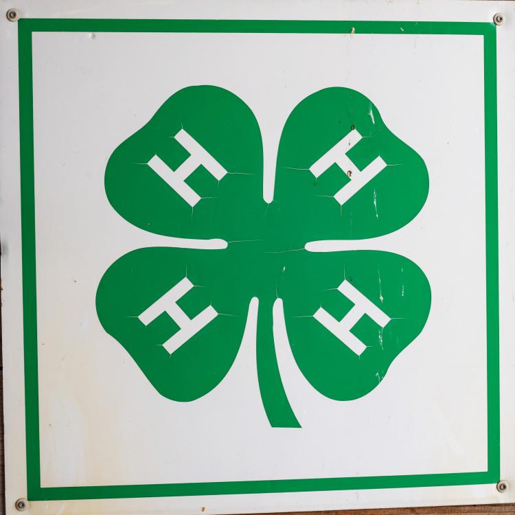  4-h